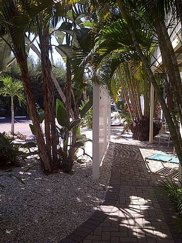 Coquina On The Beach Lido Key  Екстер'єр фото