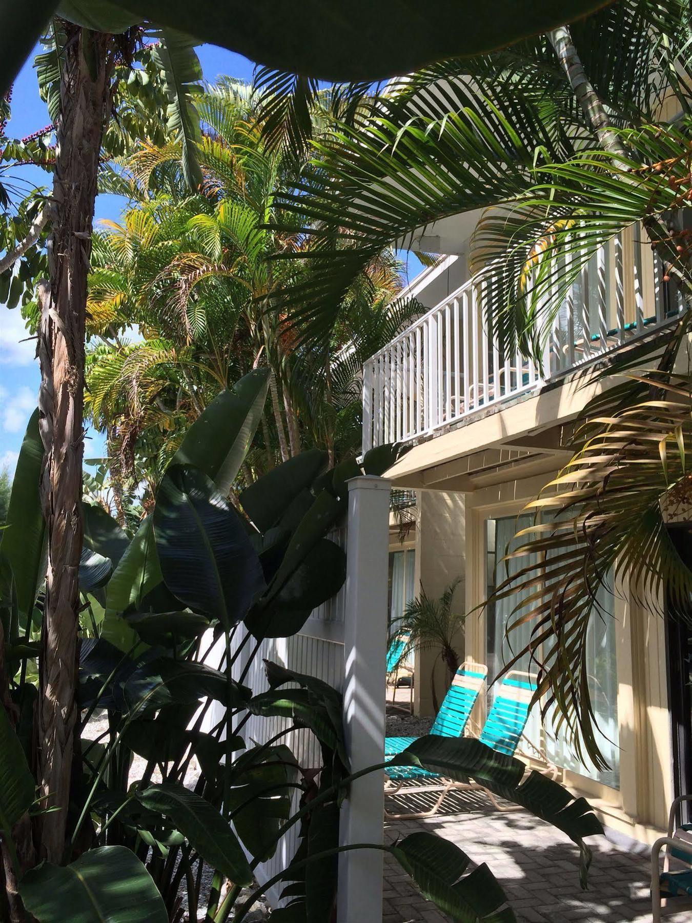 Coquina On The Beach Lido Key  Екстер'єр фото