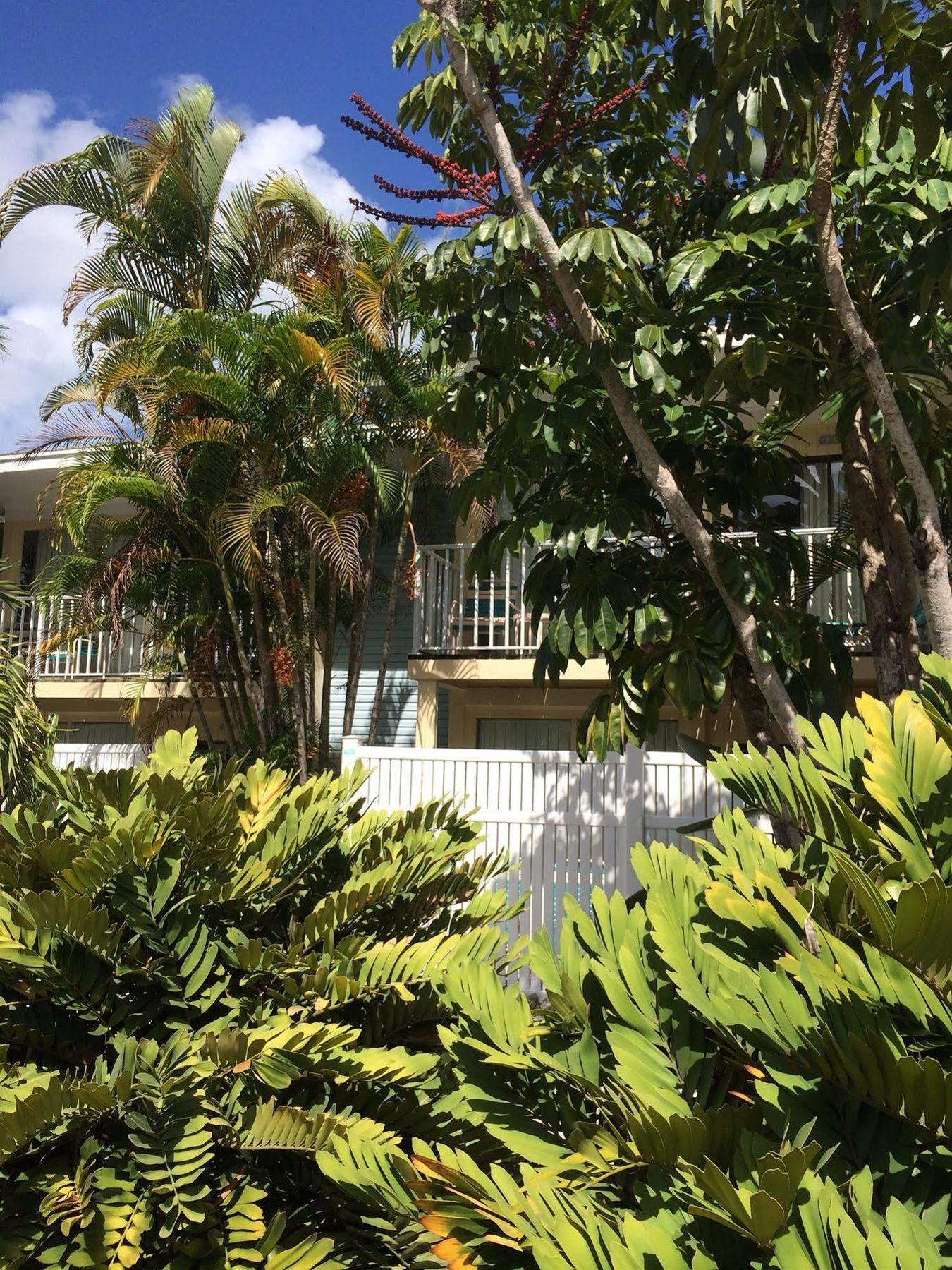 Coquina On The Beach Lido Key  Екстер'єр фото