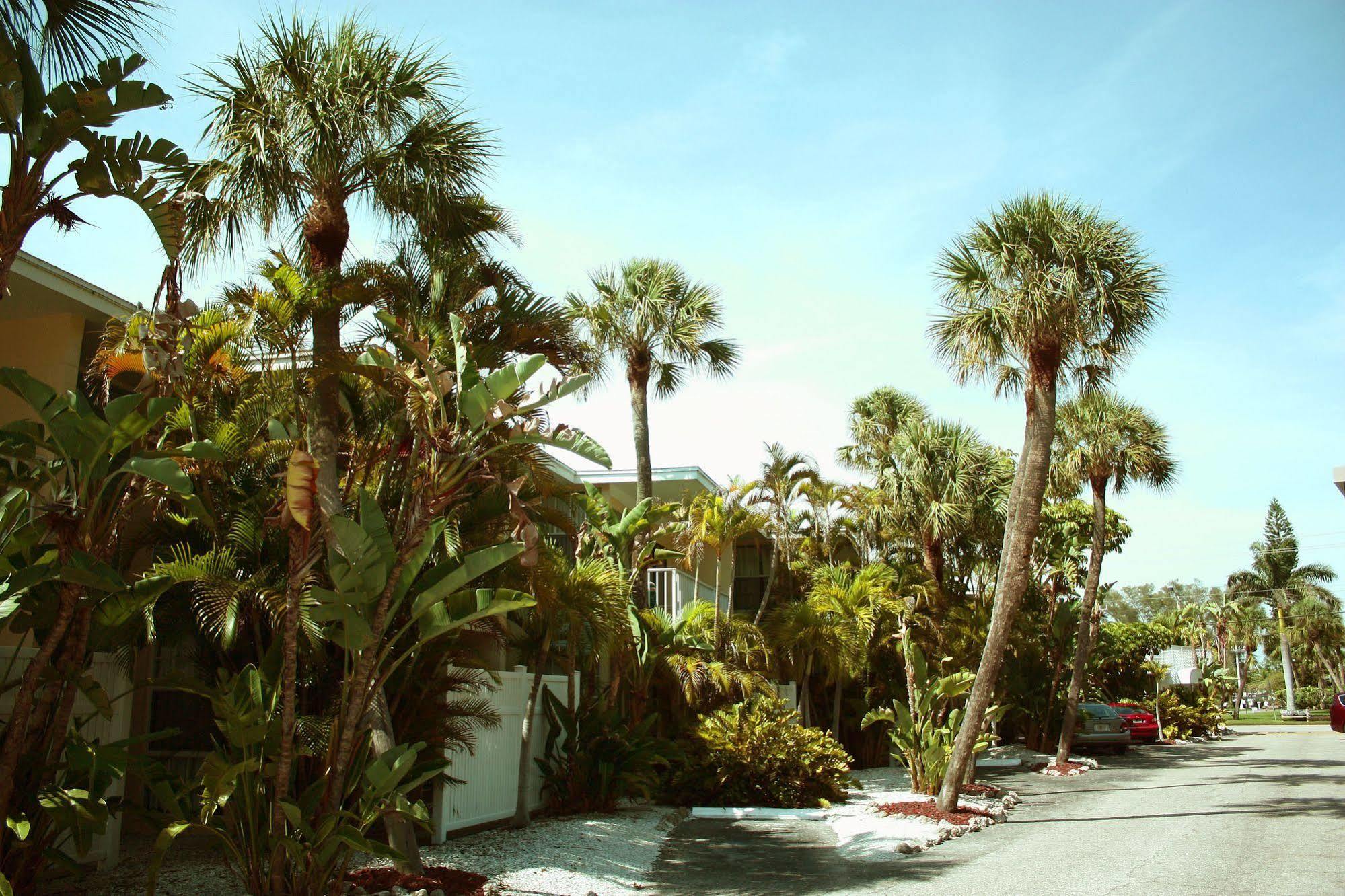 Coquina On The Beach Lido Key  Екстер'єр фото