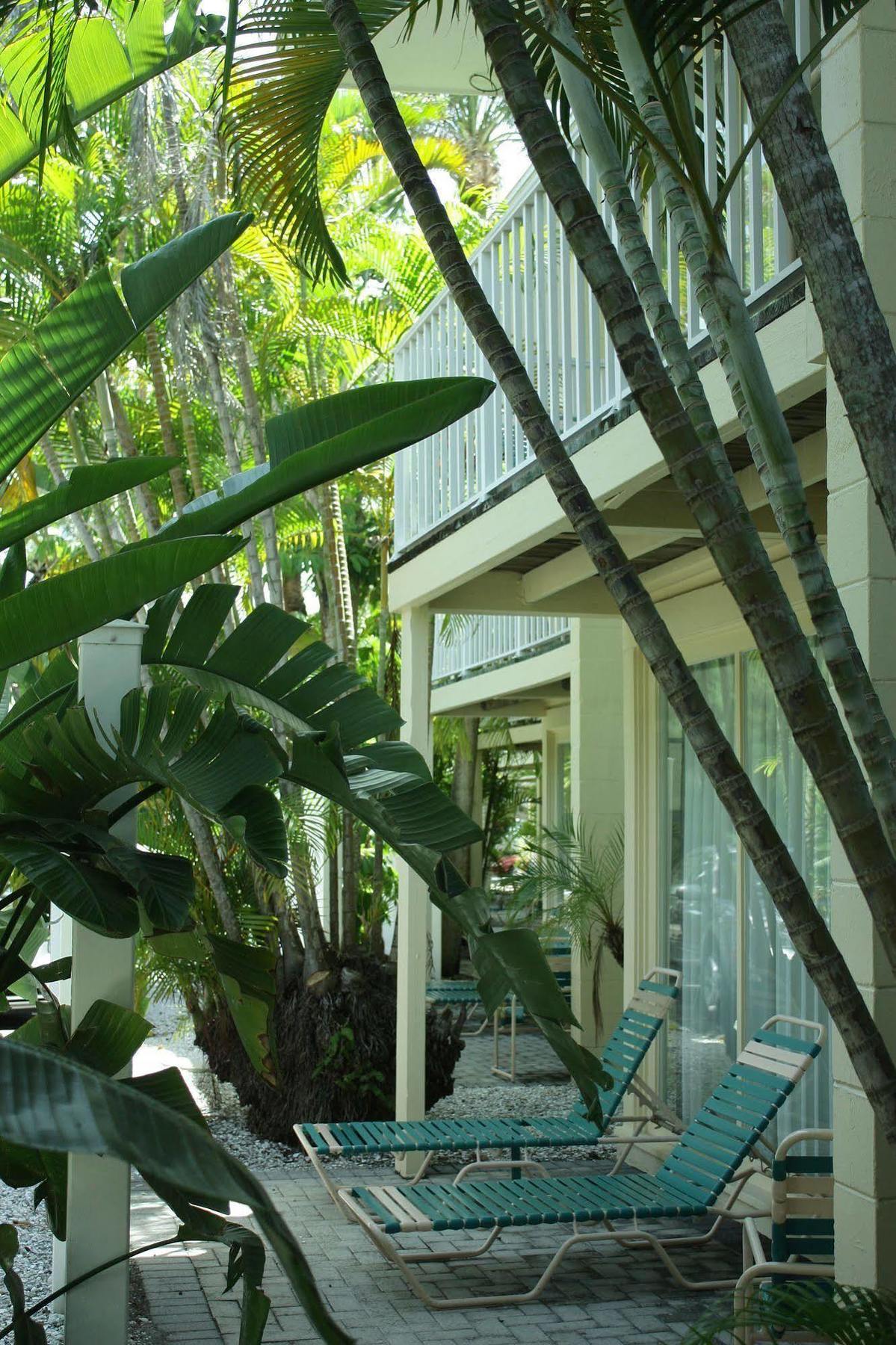 Coquina On The Beach Lido Key  Екстер'єр фото