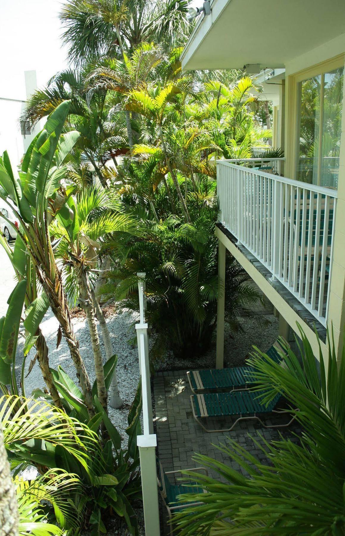 Coquina On The Beach Lido Key  Екстер'єр фото